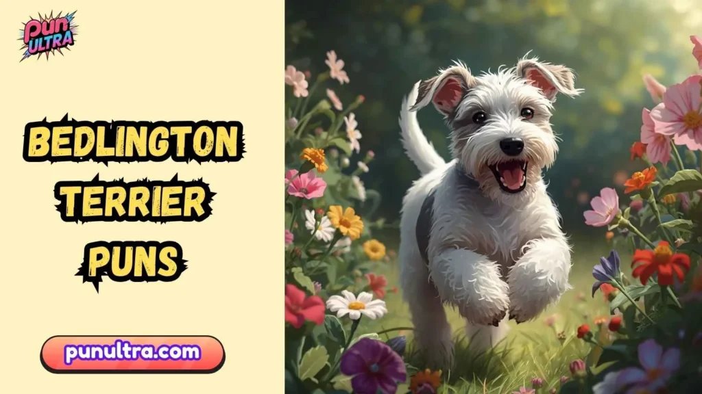 Cute Bedlington Terrier Puns