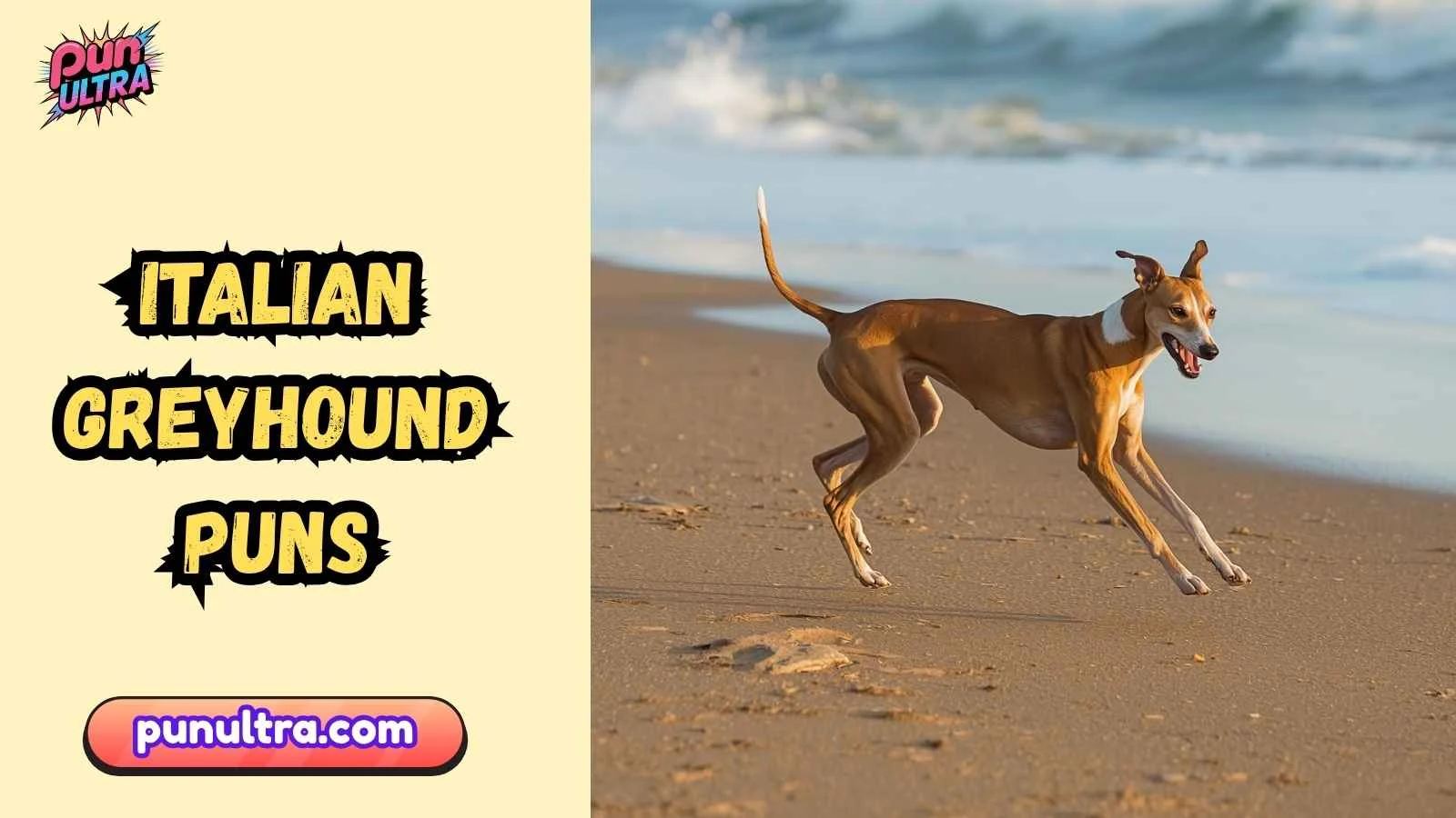 Italian Greyhound Puns